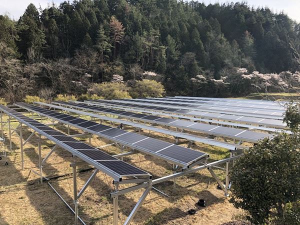 Solar Farm Mountain Home Idaho
